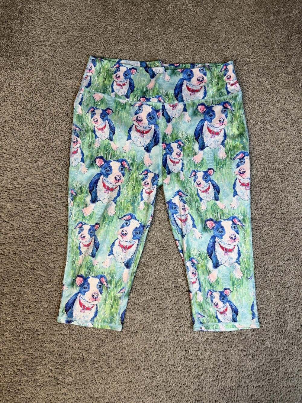 Leoma Lovegrove Leggings Womens L Multicolor Capri Animal Print Yoga 32x17